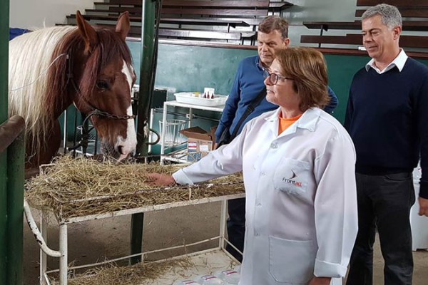 04_Besuch-Tierklinik-Curitiba_klein